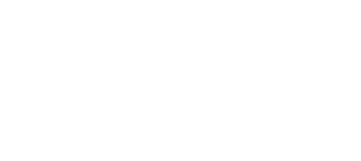 Raptus Digital